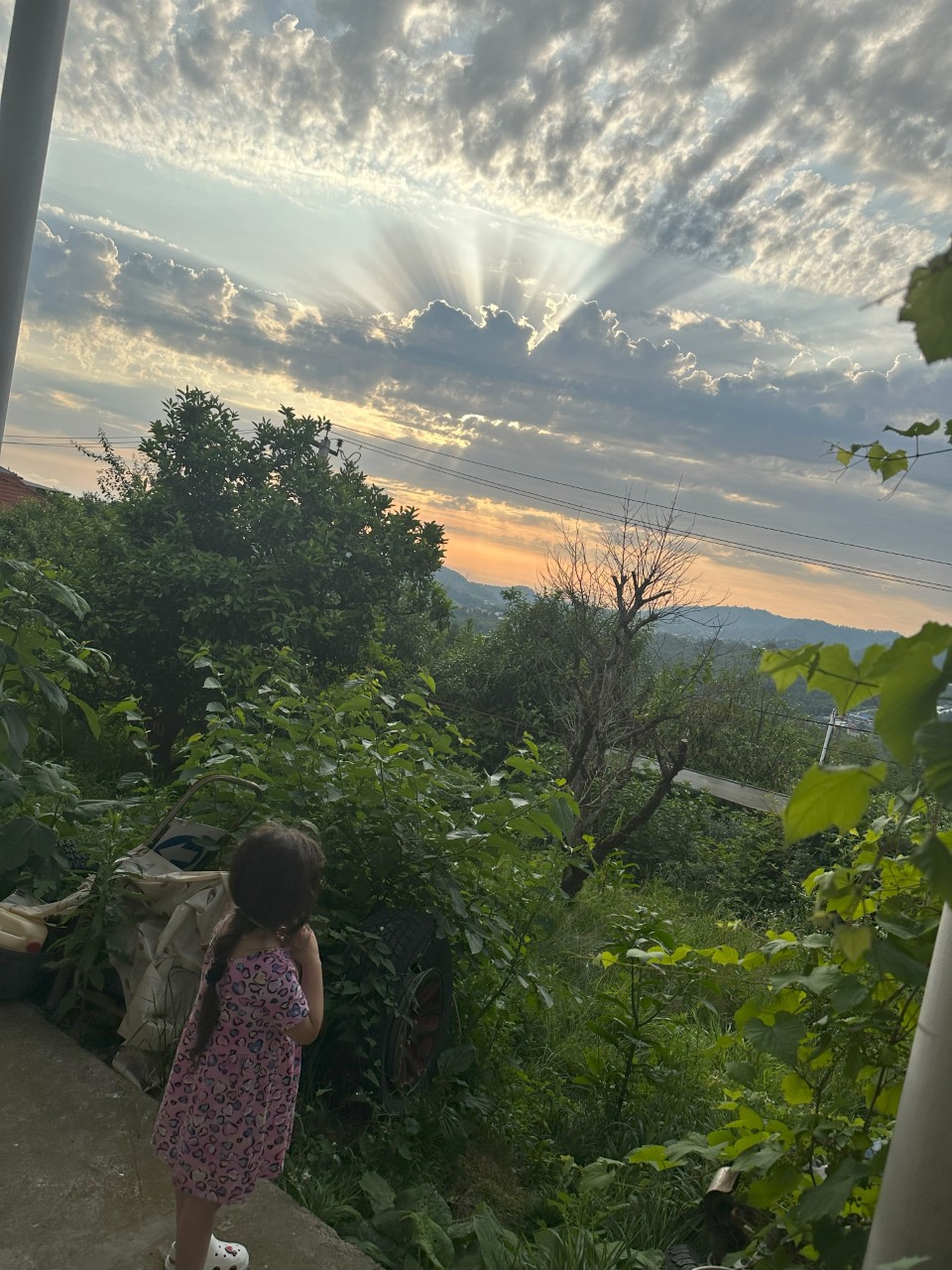 Крещенский фотоконкурс: "Дни творения"